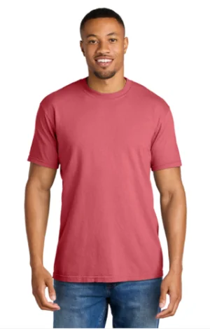 Men's/Unisex 100% Cotton T-Shirts